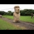 Easter Island Statues Could Have Been “Walked” Into Place