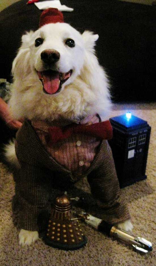 Doctor Woof